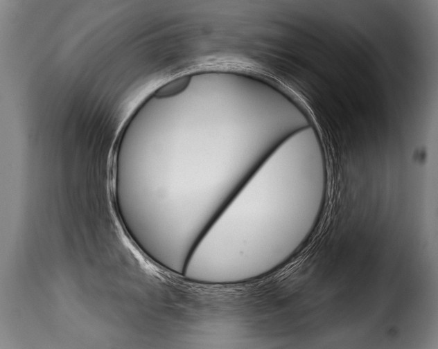 X0000116011103200911191231
