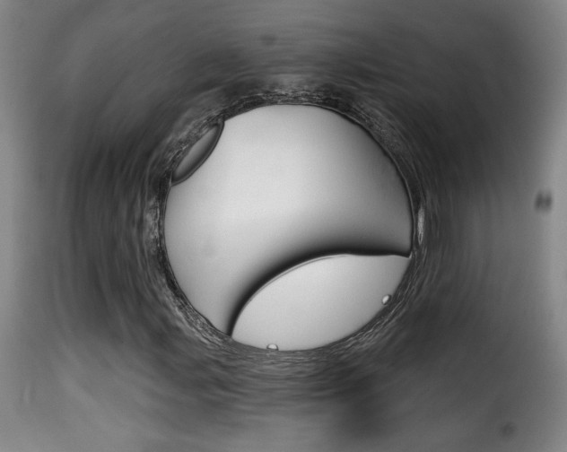X0000116011107200911191231