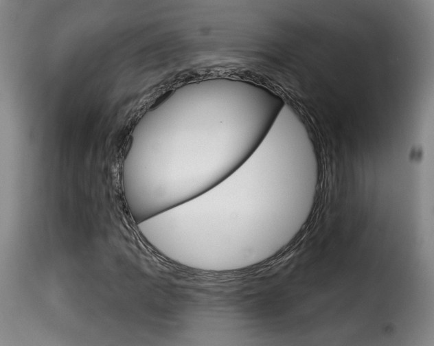 X0000116011109200911191231
