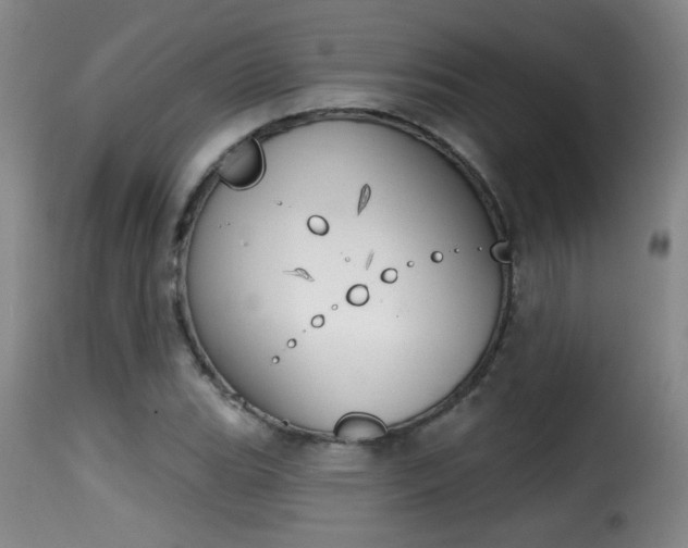 X0000116011119200911191231