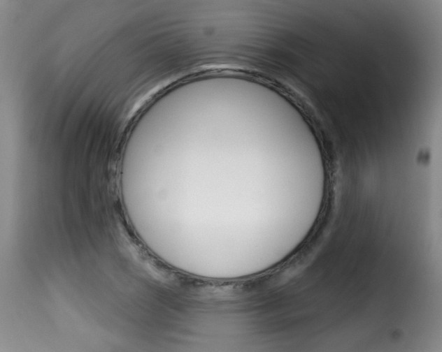 X0000116011121200911191231