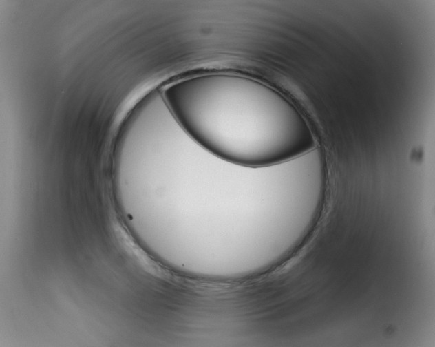 X0000116011122200911191231