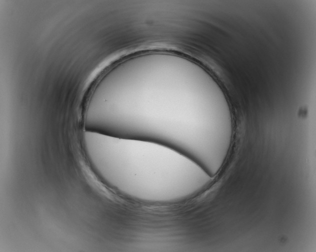 X0000116011126200911191231