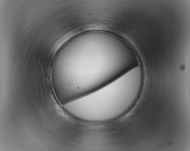 X0000116011129200911191231