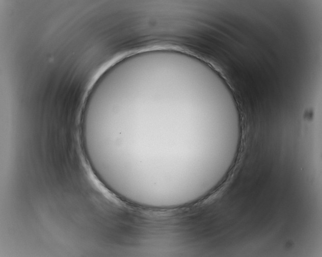 X0000116011134200911191231