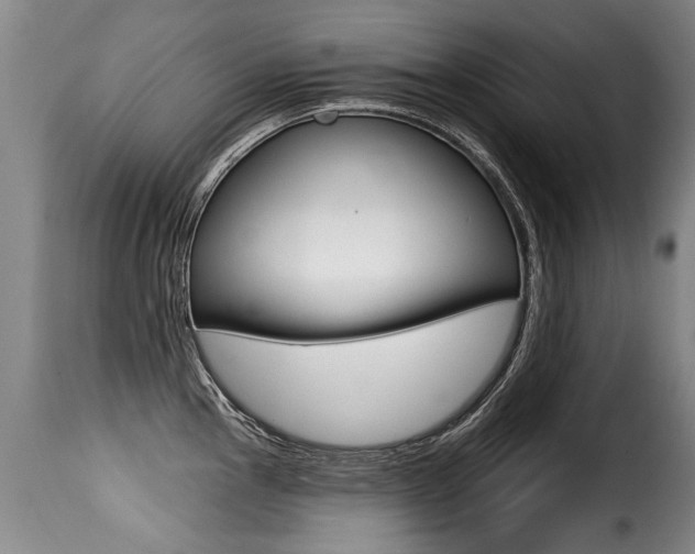 X0000116011145200911191231