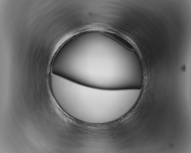 X0000116011146200911191231