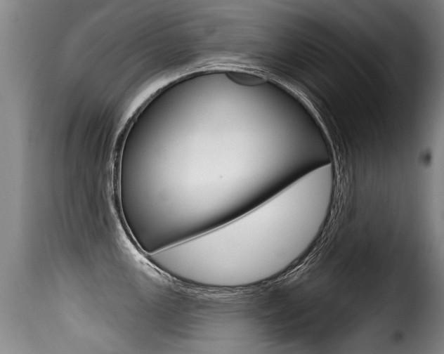 X0000116011147200911191231