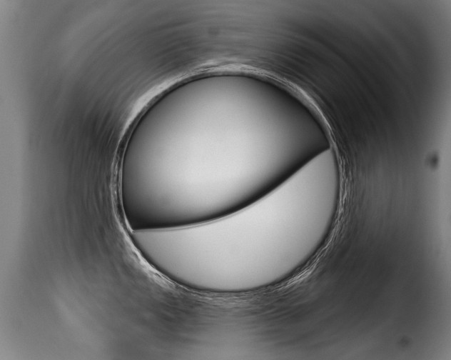 X0000116011149200911191231