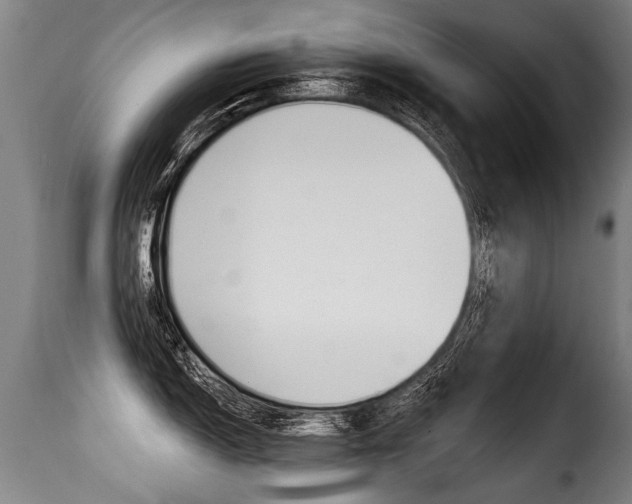 X0000116011150200911191231