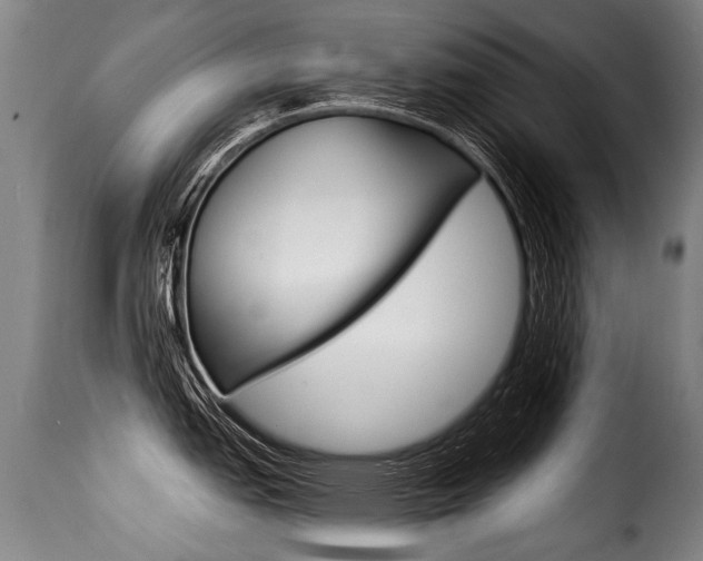 X0000116011151200911191231