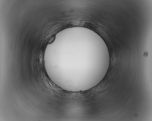 X0000116011154200911191231