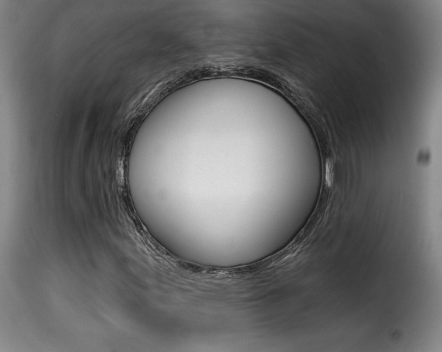 X0000116011155200911191231