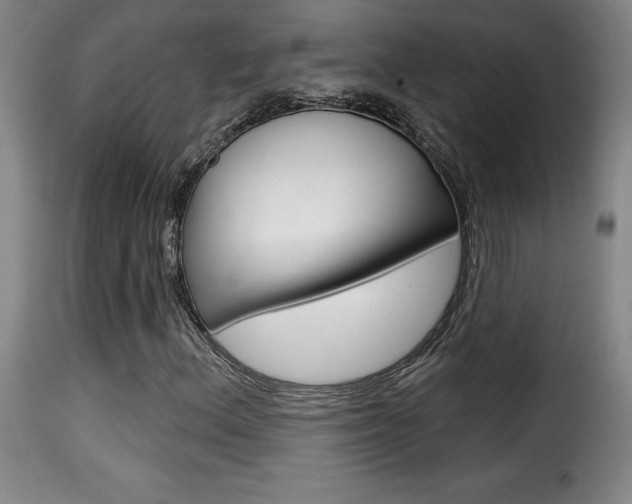 X0000116011156200911191231