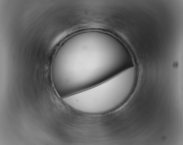 X0000116011163200911191231