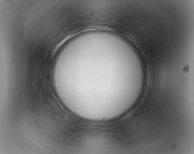 X0000116011165200911191231