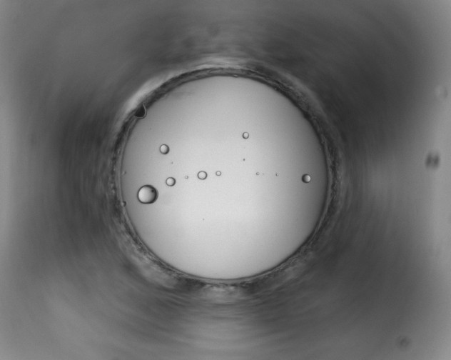 X0000116011168200911191231
