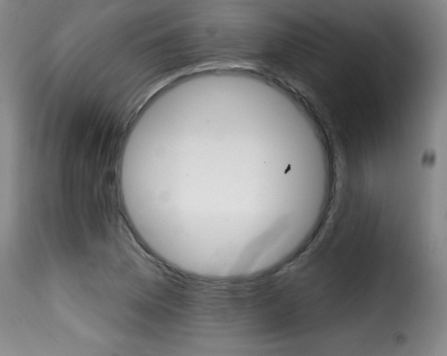 X0000116011169200911191231