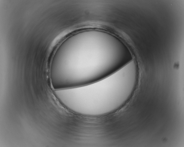 X0000116011172200911191231
