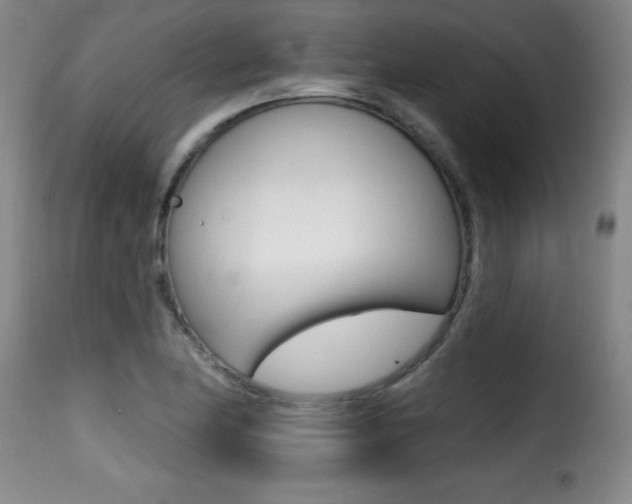 X0000116011174200911191231