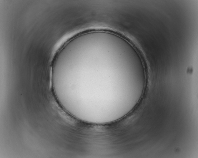 X0000116011175200911191231