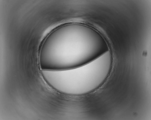 X0000116011176200911191230