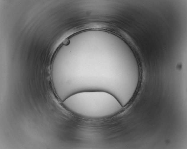 X0000116011178200911191230