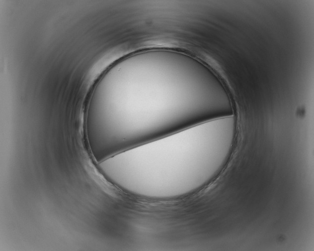 X0000116011179200911191230