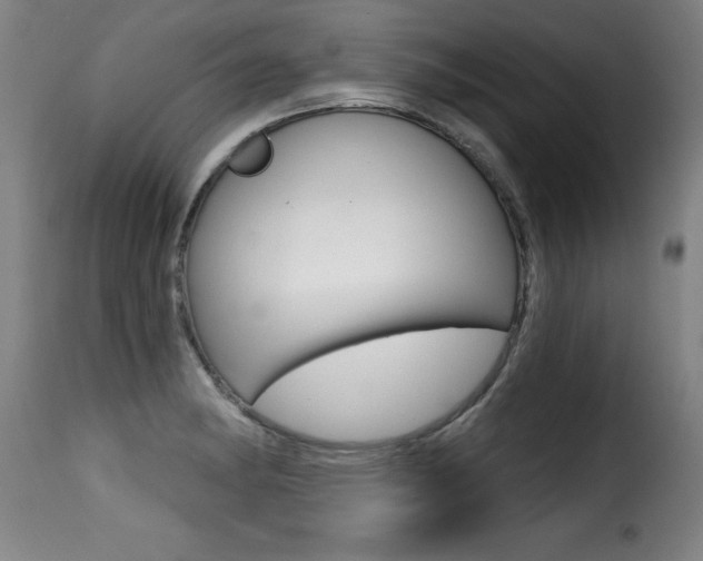 X0000116011182200911191230