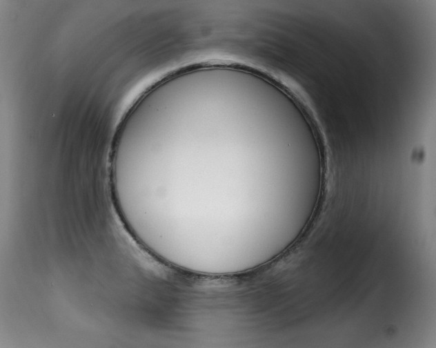 X0000116011183200911191230