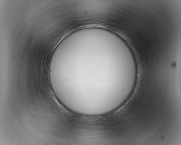X0000116011185200911191230