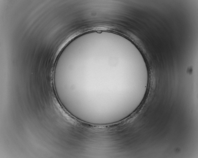 X0000116011186200911191230