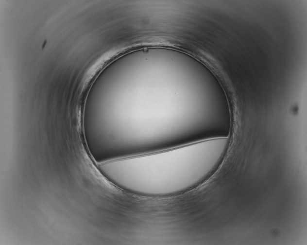 X0000116011188200911191230