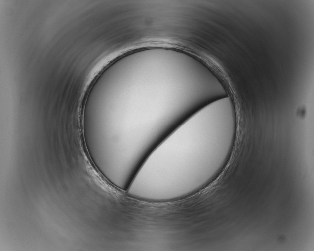 X0000116011192200911191230