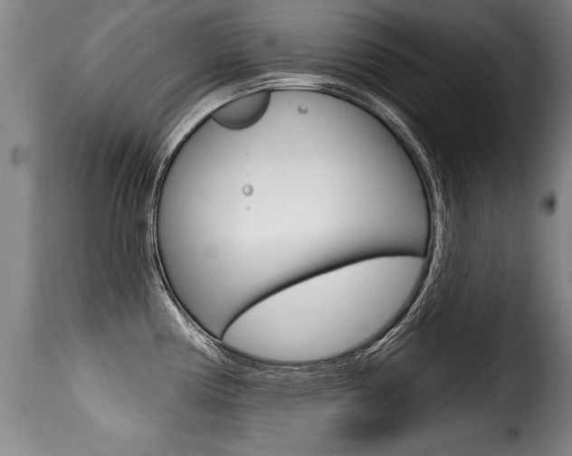 X0000116011194200911191230