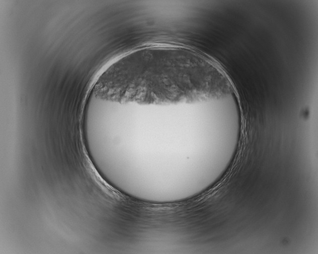 X0000116011195200911191230