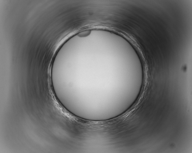 X0000116011198200911191230