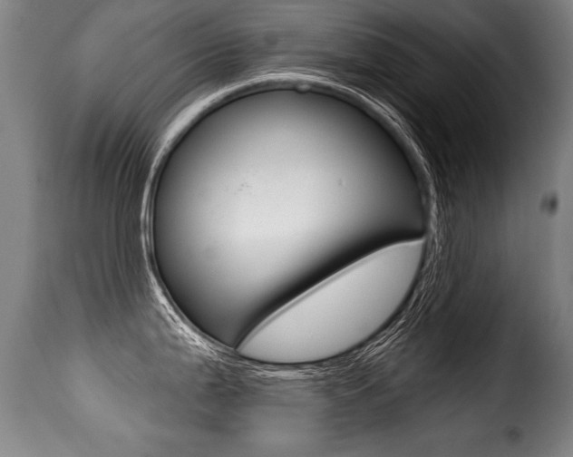 X0000116011199200911191230