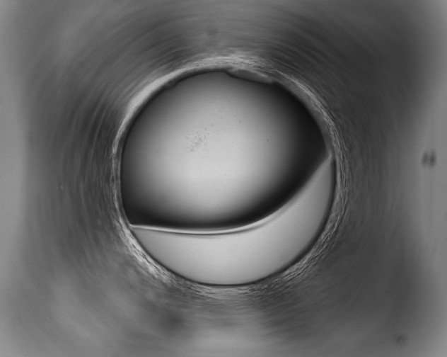 X0000116011200200911191230