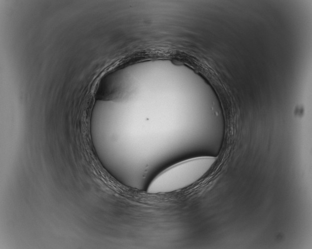 X0000116011201200911191229