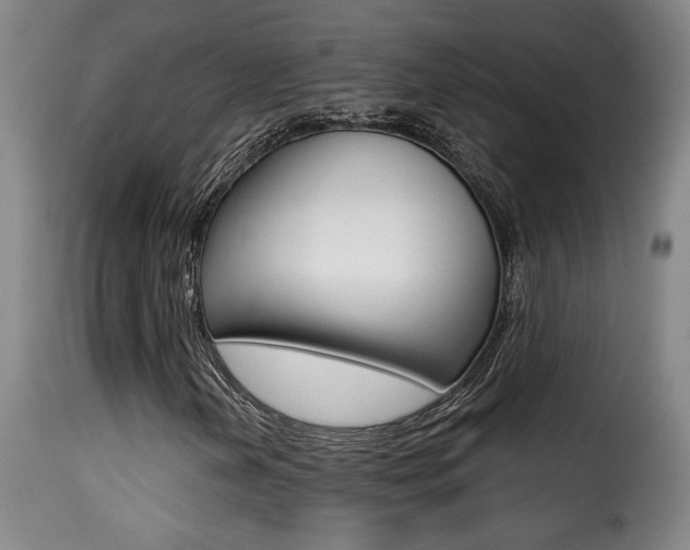 X0000116011202200911191229
