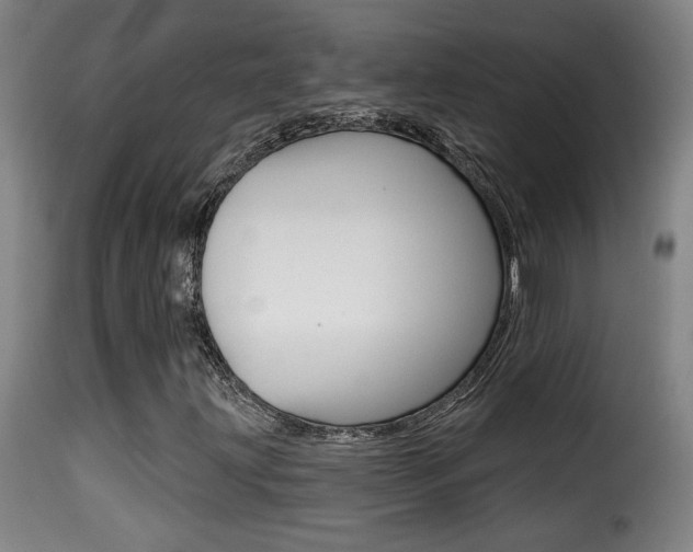 X0000116011203200911191229