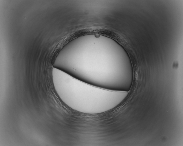 X0000116011204200911191229