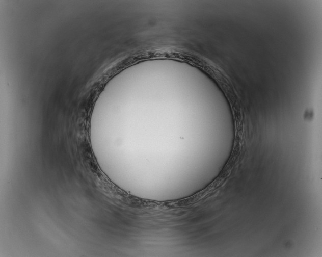 X0000116011207200911191229