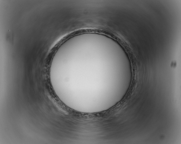 X0000116011208200911191229