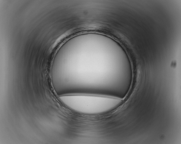 X0000116011210200911191229