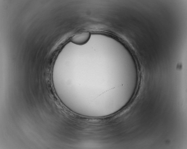 X0000116011211200911191229