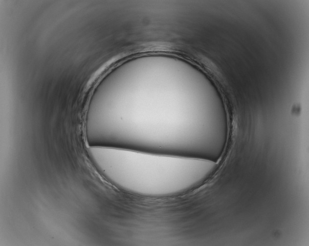 X0000116011212200911191229