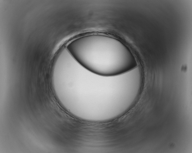 X0000116011214200911191230