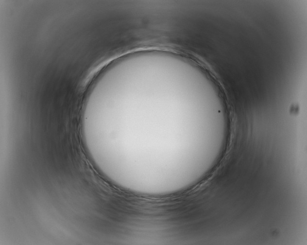 X0000116011215200911191230